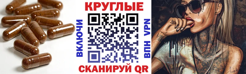 kraken   Кировск  ЭКСТАЗИ Punisher 