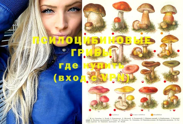 хмурый Богданович