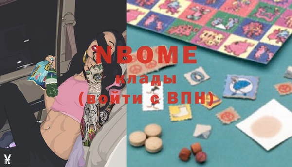 Альфа ПВП Инсар