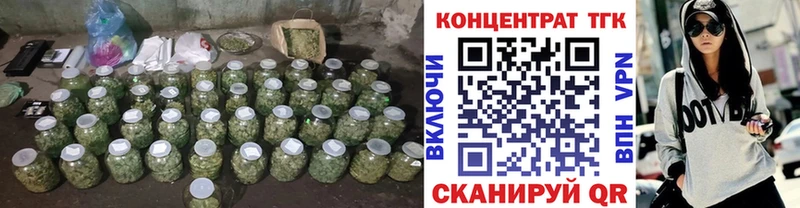 цена наркотик  Кировск  ТГК гашишное масло 